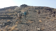 صورة من الارشيف